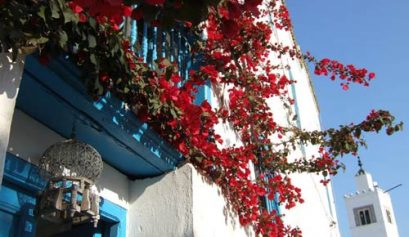 Sidi Bou