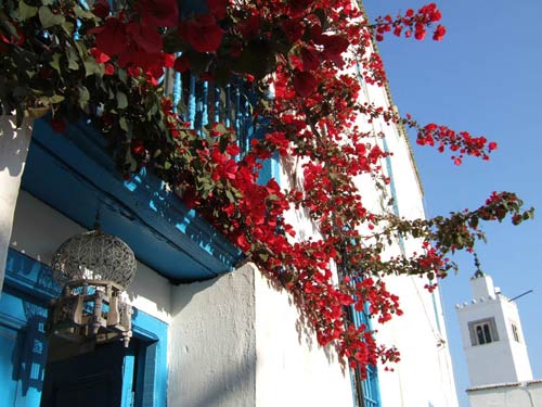 Sidi Bou