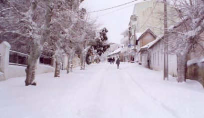 La neige en Tunisie. Une destination de tourisme local