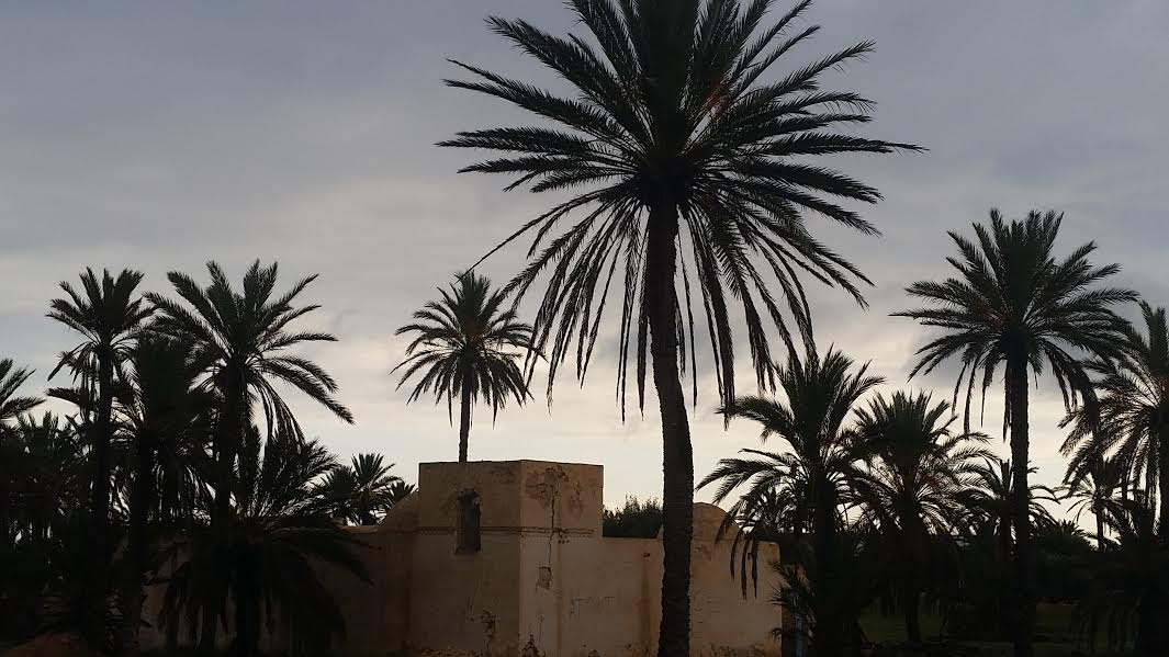 Pour que tout Djerba évolue vers Patrimoine mondial de l’UNESCO !