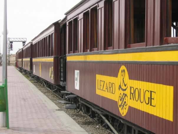 train lézard rouge tunisie