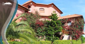 59064514_328413307873233_3446437304845991936_o