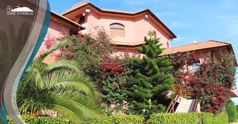 59064514_328413307873233_3446437304845991936_o