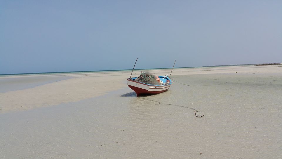 18620880_1977821639107340_2612918611055977906_o