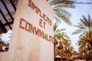 L&rsquo;ilot palmiers2