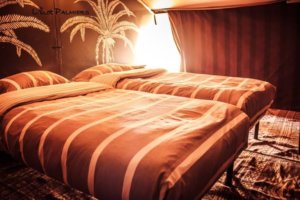 L&rsquo;ilot palmiers3