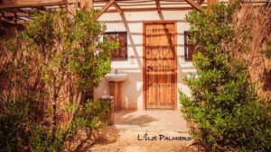 L&rsquo;ilot palmiers4