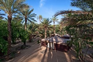 L&rsquo;ilot palmiers6