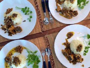 102435720_106881767726624_6065499364444260415_o