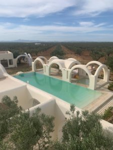 104142886_105280137896854_4596565092715709729_o