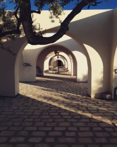 104207110_105279441230257_2003513512114193338_o