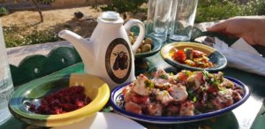 48427135_920615384809948_704641268113735680_o