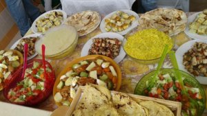 FERME ZITOUN CHOUIGUI (2)