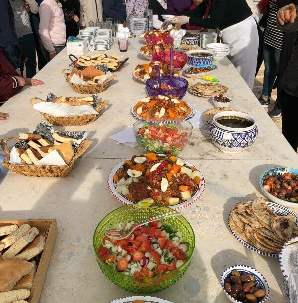 FERME ZITOUN CHOUIGUI (3)