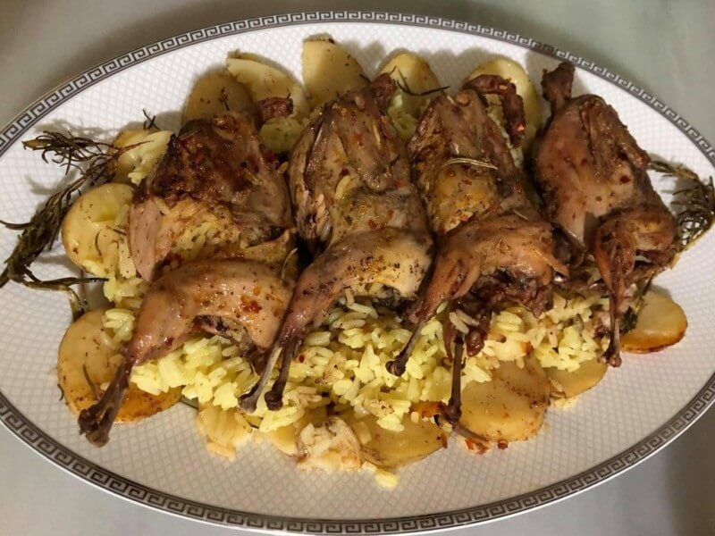 FERME ZITOUN CHOUIGUI (5)