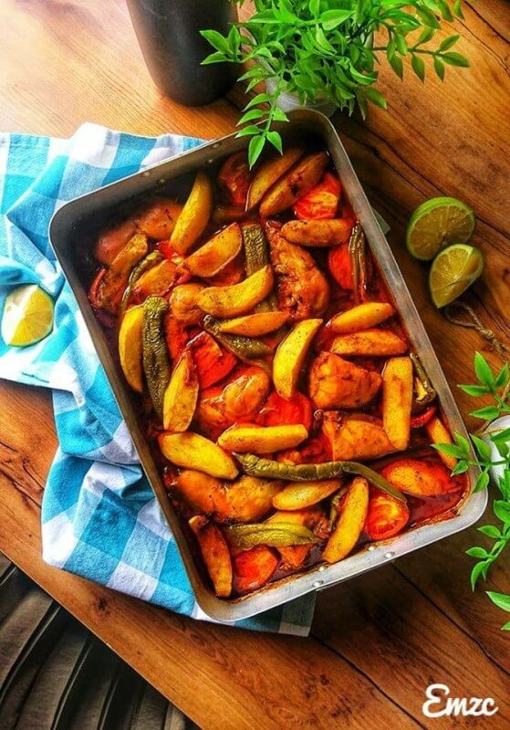 FERME ZITOUN CHOUIGUI (7)