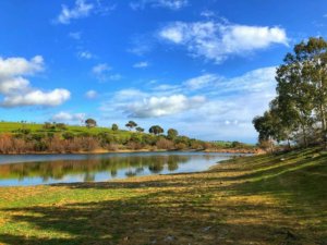 FERME ZITOUN CHOUIGUI (8)