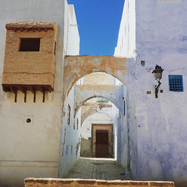 El Patio Courtyard House Tunis