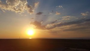 117093992_714779722413105_8025324146845273397_o