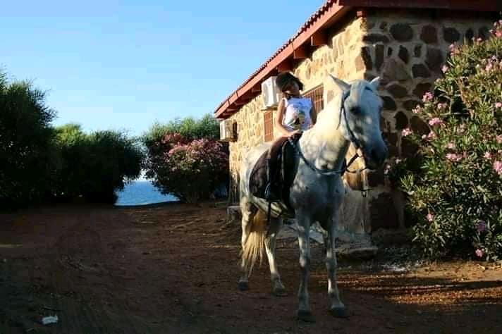 117911705_3339505456106212_7955451631521488950_n