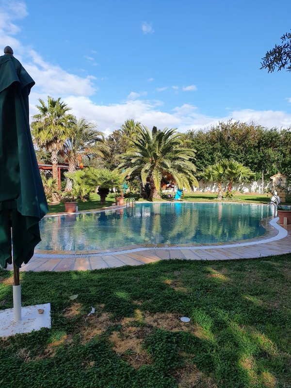 80779450_2461081087493276_1973694500811309056_o