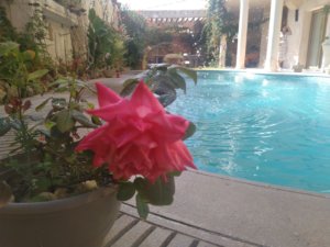 Cap Blanc Guest House (10)