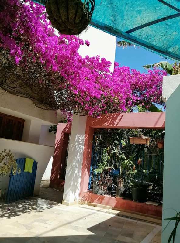 Dar El Yasmine Soukra (5)