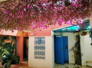 Dar El Yasmine Soukra (6)