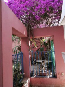 Dar El Yasmine Soukra (7)