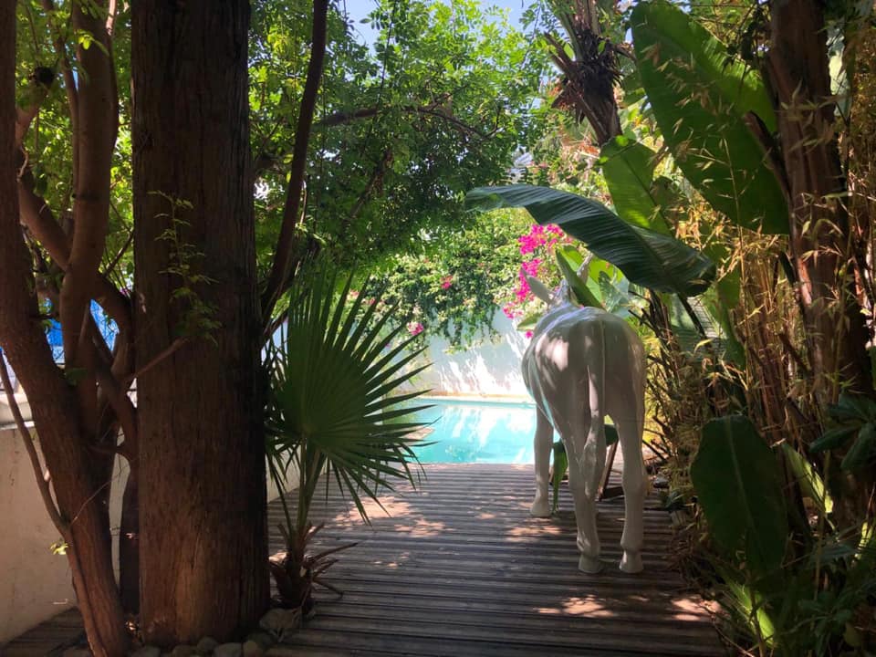 Dar Marsa Cubes (12)