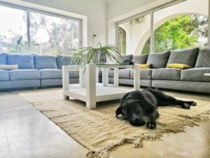 Gîte Du Pêcheur Echraf – Haouaria (11)