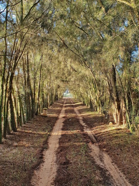 Gîte Du Pêcheur Echraf – Haouaria (15)