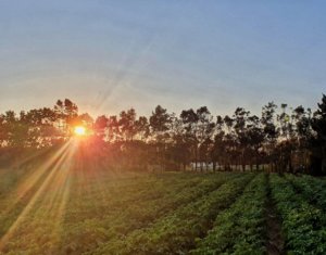 Gîte Du Pêcheur Echraf – Haouaria (18)