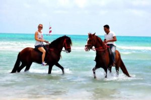 Ranch Tanit Djerba (2)