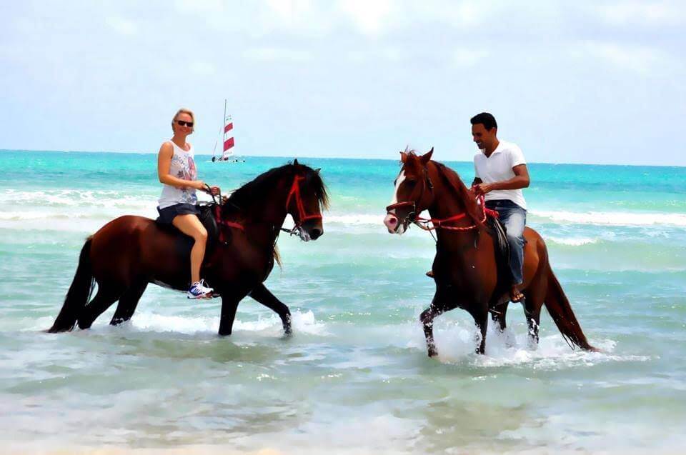 Ranch Tanit Djerba (2)