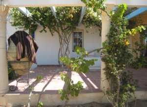 Ranch Tanit Djerba (5)