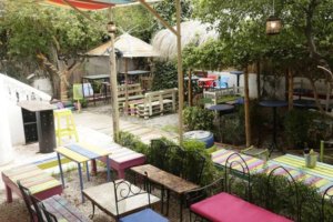 Villa les palmes (1)