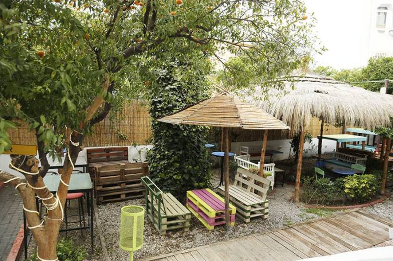 Villa les palmes (2)