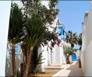 Villas Talisman Djerba (2)