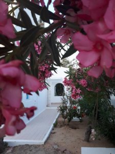 Villas Talisman Djerba (6)