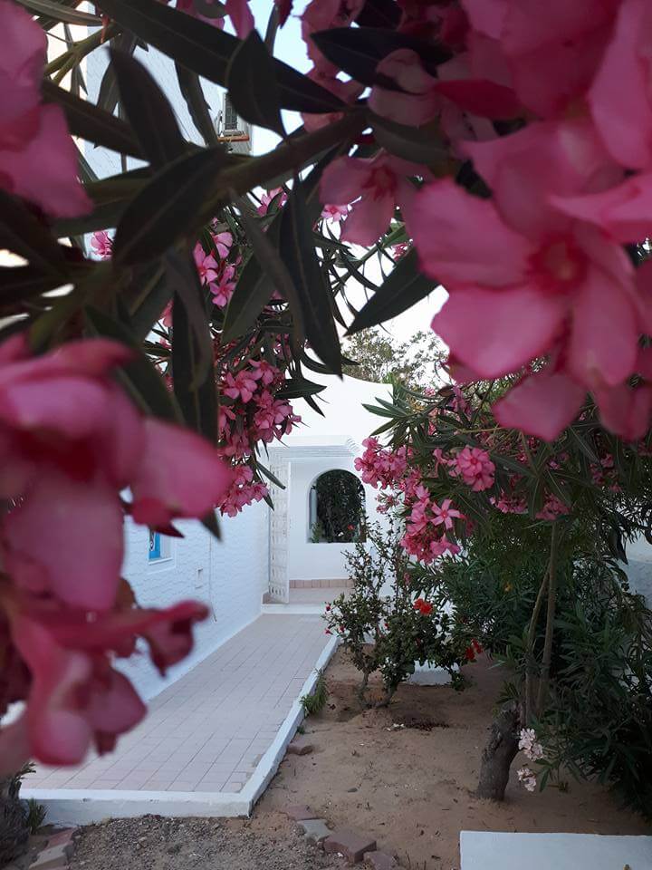 Villas Talisman Djerba (6)