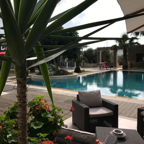 du cote de chez bilils (3)