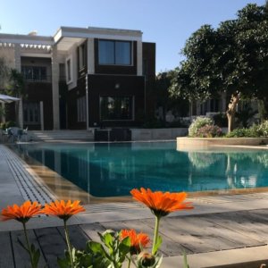 du cote de chez bilils (4)