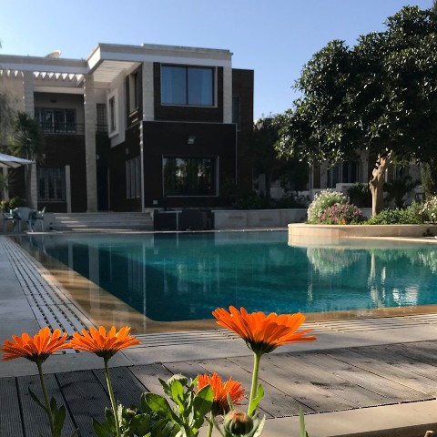 du cote de chez bilils (4)