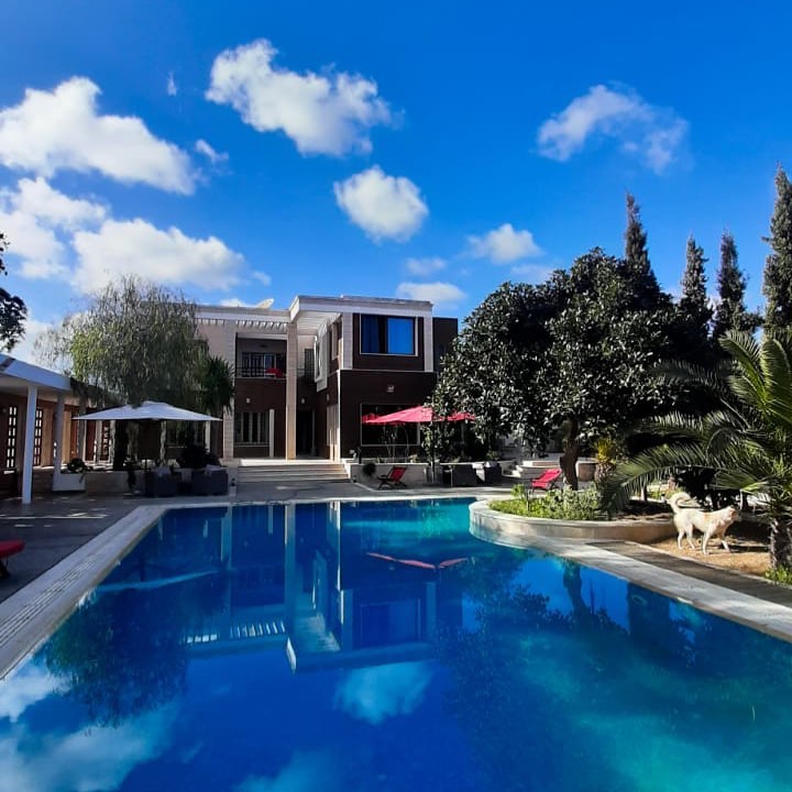 du cote de chez bilils (5)