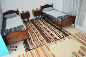 Oasis de Mounira (3)