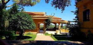 Villa Hejra tabarka (1)