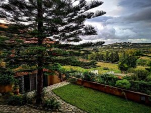 Villa Hejra tabarka (5)