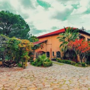 Villa Hejra tabarka (7)