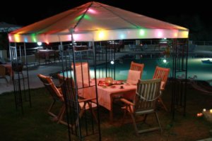 les jardins suspensus (8)